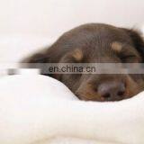 High Quality Luxury Pet Bed Soft Dog Bed Sofa Easy Clean Warming Dog Bed for All Kinds of Dog thumbnail-6