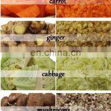 High Quality Cheap Price Automatic Vegetable Shredder / Cabbage Grinding Machine / Vegetable Cutting Machine for Sale thumbnail-5
