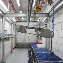 Complete Pork Slaughterhouse Line Half Carcass Band Splitting Saw for Butcher Equipment thumbnail-2