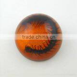 2016 New Latest Design Novel Wholesale Funny Paperweight thumbnail-5