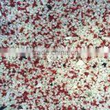 2015 the Latest Plastic Recycling Particles Color Sorter/double Belt-type Color Sorter thumbnail-4