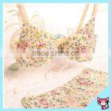 Ladies Sexy Panty and Bra Sets thumbnail-1