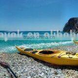 New Design White Water Single Sit in Plastic Sea Kayak Wholesale Racing Kayak Quality Choice Most Popular thumbnail-5