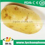 New Crop Sweet Seed Potatos (80-150g, 100-200g, 200g Up) thumbnail-1