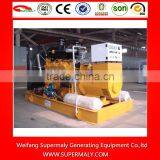 200kva Natural Gas Generator With Competitive Price