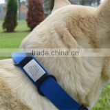 customized cheap id dog collar engrave pet id dog tag