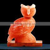 Owl Figure Shape Himalayan Salt Lamp