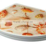 Urea Formaldehyde Toilet With Beautiful Applique Cover thumbnail-3