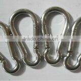 Stainless Steel Carabiner Hook