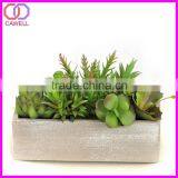 Real Looking Artificial Succulent Plants thumbnail-1