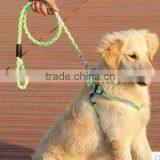 Outdoor Safety Led Flashing Dog Leash , Pet Dog Harness and Leash Set ,led Retractable Dog Leash thumbnail-1