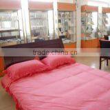 Yangzhou Tongfun Red International Trading Co., Ltd. company overview - view 2 thumbnail