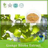 100% Pure Natural Ginkgo Leaf Biloba Leaf Extract Powder