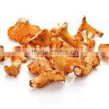 Good Quality Wild Organic Dried Chanterelle thumbnail-1