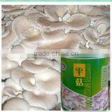 Canned Oyster Mushroom thumbnail-1