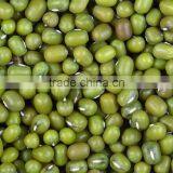 Hot Split Vietnam Green Mung Bean With Competitive Price thumbnail-1