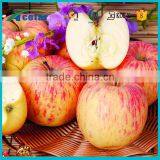 High Blood Pressure apple cider vinegar extract powder shopping online