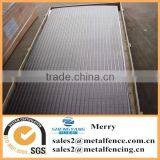 Stainless Steel Wedge Wire Johnson Screen Mesh