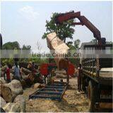 Portable Lumber Horizontal Band Sawmill With 25HP Diesel Engine