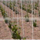 Fiberglass Rod thumbnail-3