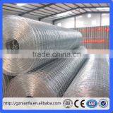 1.3mm Galvanized 3/8" /3/4" /1/2" /1" Hole Welded Wire Mesh Net(Guangzhou Factory) thumbnail-4