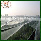 Factory Supply Apple Tree Anti Hail Net With Board and Eyelets thumbnail-4