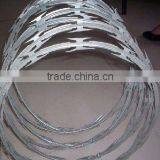 Hot Dipped Galvanized Razor Blade Wire thumbnail-2