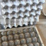 Plastic Egg Tray Mold thumbnail-1