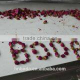 Mesh Machine Type and New Condition Mesh Belt Dryer thumbnail-6