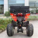 Hot Sale Buggy 4x4 for Adults thumbnail-2