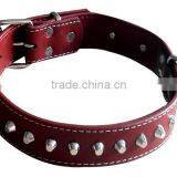 CY114 Wholesale PU Lady Dog Collar Comfort Leather Single Row Rivets Collar Alloy Spikes Gentle Rivet Dog Collar thumbnail-3