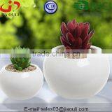 Glazed White Small Round Modern Ceramic Succulent Planter Pot thumbnail-6