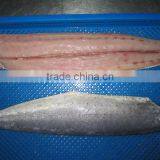 Mahi Mahi Fillet thumbnail-1