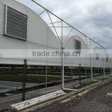 Manufacturer Plastic Film Greenhouse Tunnel for Medical Plant thumbnail-3