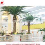 Hot Selling Big Tree for Sale for Decorative Iron Palm Tree