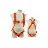 Full Body Safety Harness (JK21119D) thumbnail-1