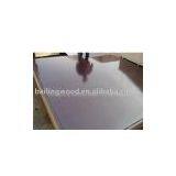 Shouguang Bailing Wood Co,.ltd company overview - view 1 thumbnail