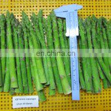 Sinocharm 2022 New Crop Fresh Green Asparagus IQF Frozen Green Asparagus thumbnail-4