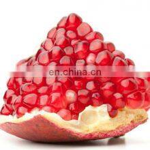 Machine Manufacturers Seeds Extractor Machine Pomegranate Peeler thumbnail-1