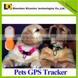 hot new products 2015 gps tracker inside sim card for pet