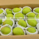 Chinese Fresh Shingo Pear to USA thumbnail-6