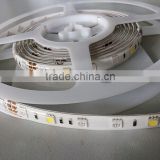 2015 new products 5050 smd rgbw led strip