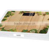 Electronic Weighing Scale thumbnail-1