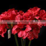 Silk Single Artificial Hippeastrum Decorative Artificial Flower Making thumbnail-4