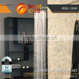 Stainless Steel Bathroom Laser Shower Head