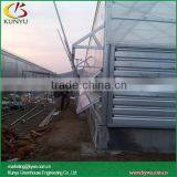 Polycarbonate Greenhouse Polycarbonate Panel 8mm Clear for Greenhouse thumbnail-4