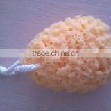 Sponge for Cleaning Body
