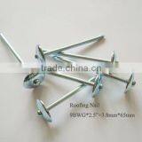 9gauge Galvanized Smooth Shank Umbrella Head Roofing Iron Nail thumbnail-1