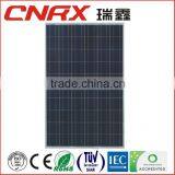 Made in China YueQing Ruixin Group RXP-60 Poly 250W Power Price per Watt Solar Panel With Full Certificate thumbnail-1