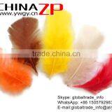 ZPDECOR Wholesale Plumage Bulk Dyed Mix Colors Turkey Flat T-Base Body Feathers thumbnail-2